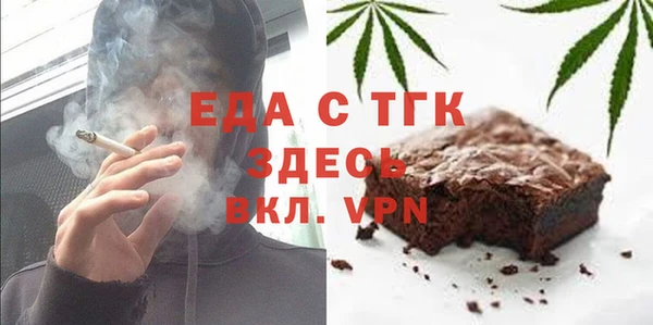 гашик Алексин
